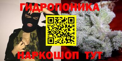 каннабис Будённовск