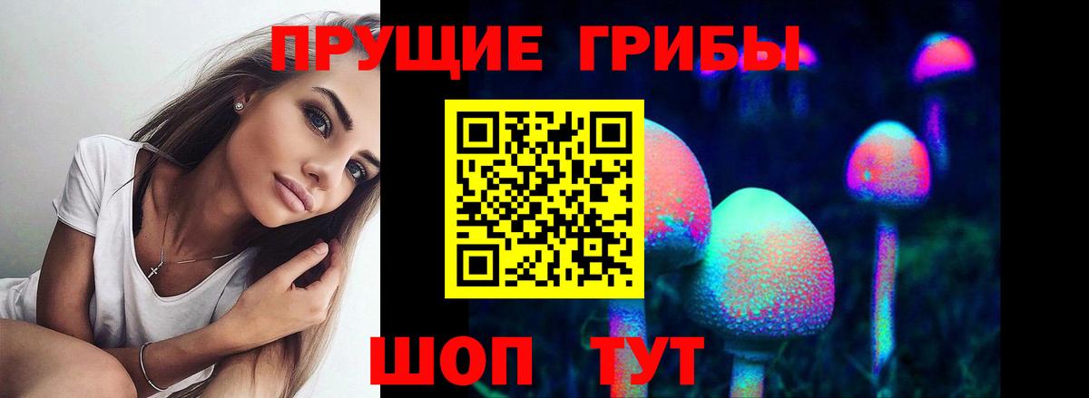Фролово  где купить наркоту  Вход с VPN  Псилоцибиновые грибы MAGIC MUSHROOMS 